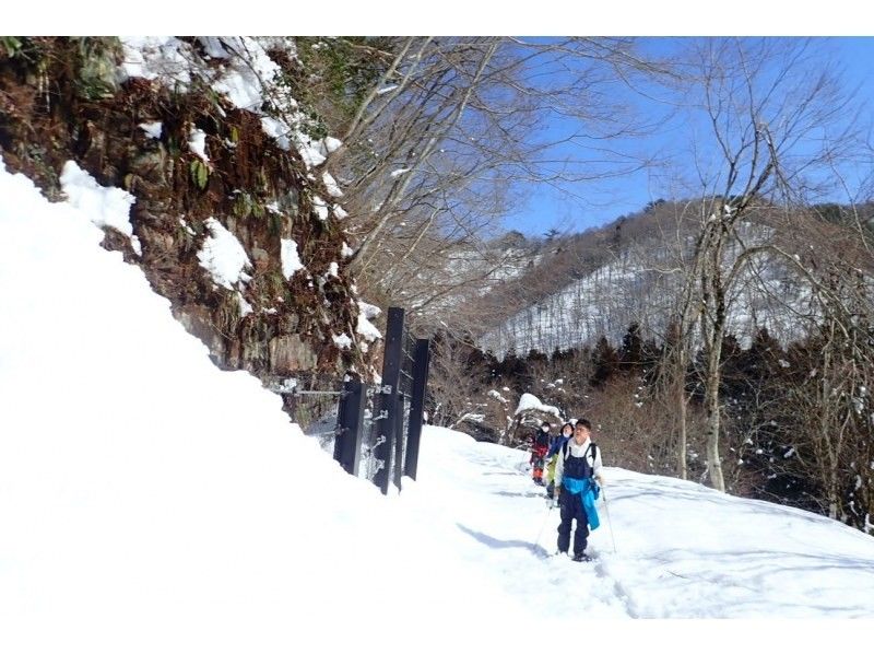 [Kyoto/Shiga border] Children and beginners are welcome! Unexplored region of Kansai! Snow hiking in the Ikusugi forest (warm stew lunch included!)の紹介画像