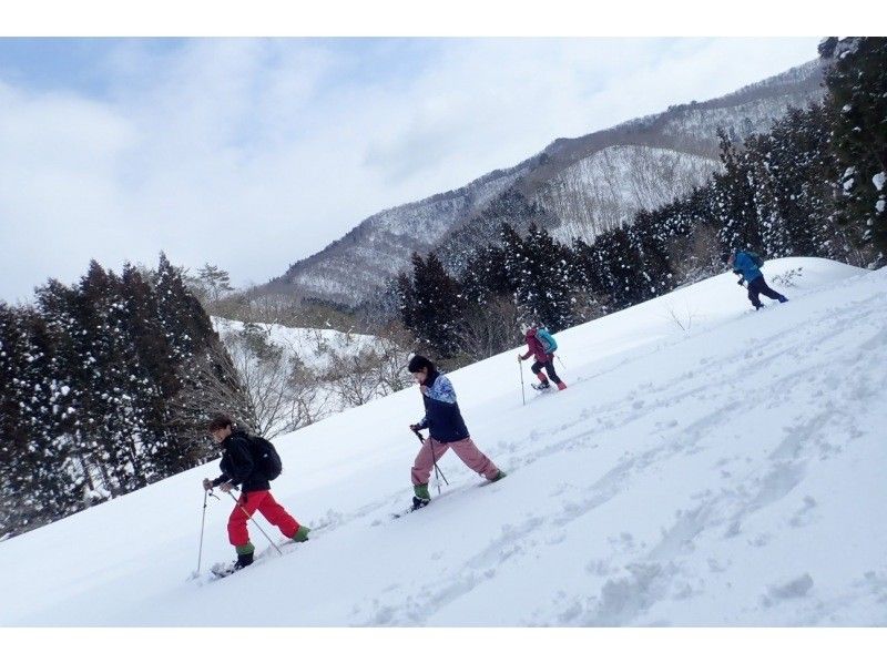 [Kyoto/Shiga border] Children and beginners are welcome! Unexplored region of Kansai! Snow hiking in the Ikusugi forest (warm stew lunch included!)の紹介画像