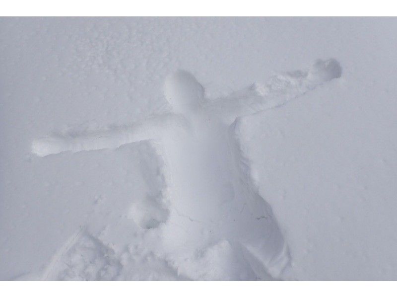 [Kyoto/Shiga border] Children and beginners are welcome! Unexplored region of Kansai! Snow hiking in the Ikusugi forest (warm stew lunch included!)の紹介画像