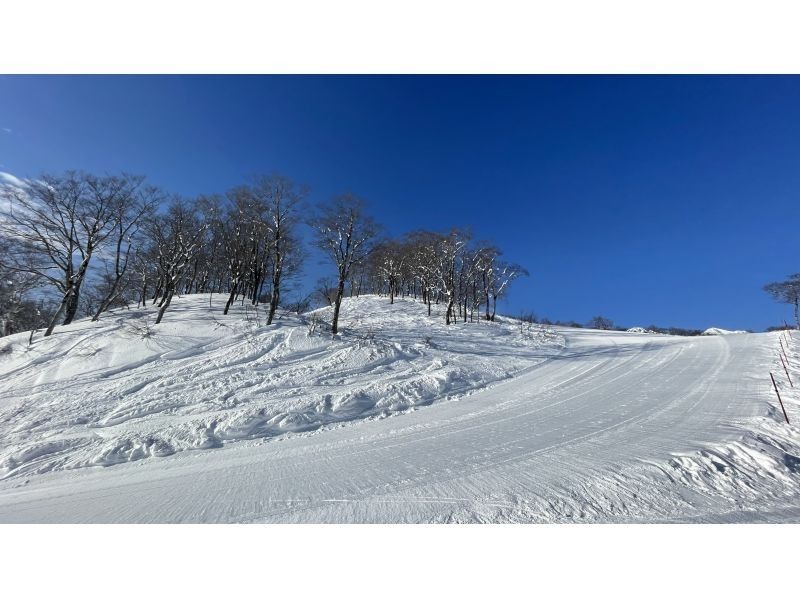 [Kyoto/Shiga border] Children and beginners are welcome! Unexplored region of Kansai! Snow hiking in the Ikusugi forest (warm stew lunch included!)の紹介画像