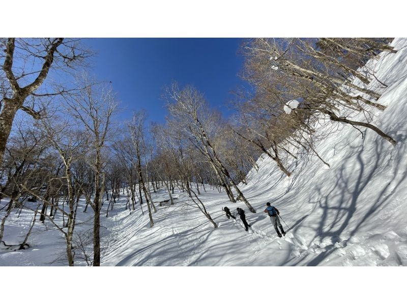 [Kyoto-Shiga Prefecture border] First attempt at climbing a snowy mountain: A hidden area in Kansai! Snow hike to the top of Ashiu and Mikuni Pass (stew lunch included!)の紹介画像