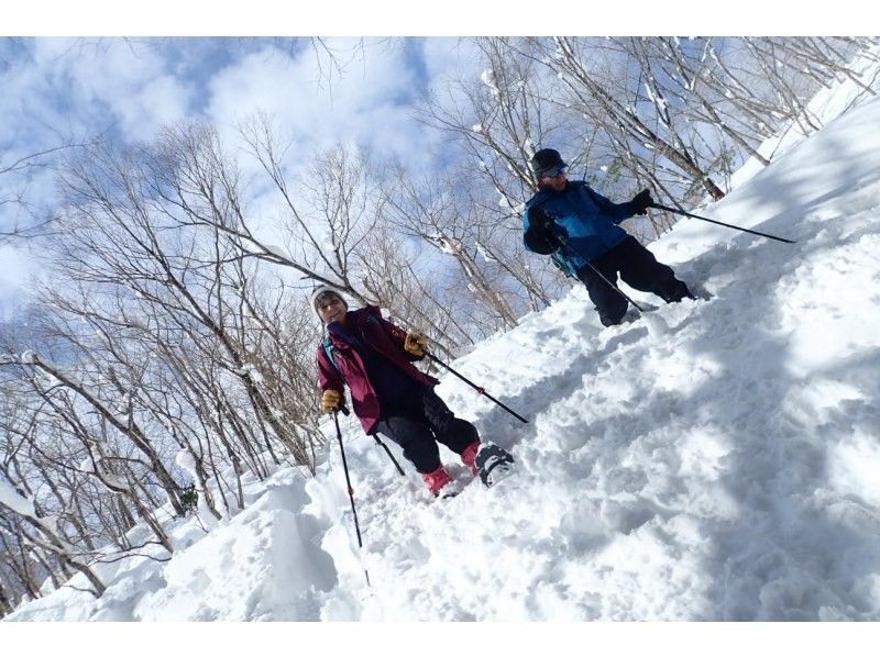 [Kyoto-Shiga Prefecture border] First attempt at climbing a snowy mountain: A hidden area in Kansai! Snow hike to the top of Ashiu and Mikuni Pass (stew lunch included!)の紹介画像