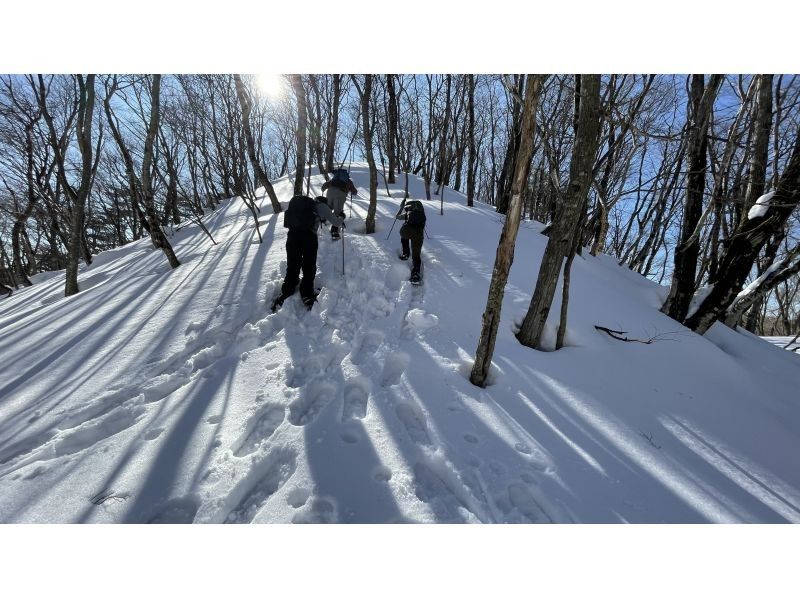 [Kyoto-Shiga Prefecture border] First attempt at climbing a snowy mountain: A hidden area in Kansai! Snow hike to the top of Ashiu and Mikuni Pass (stew lunch included!)の紹介画像