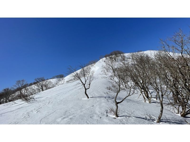 [Kyoto-Shiga Prefecture border] First attempt at climbing a snowy mountain: A hidden area in Kansai! Snow hike to the top of Ashiu and Mikuni Pass (stew lunch included!)の紹介画像