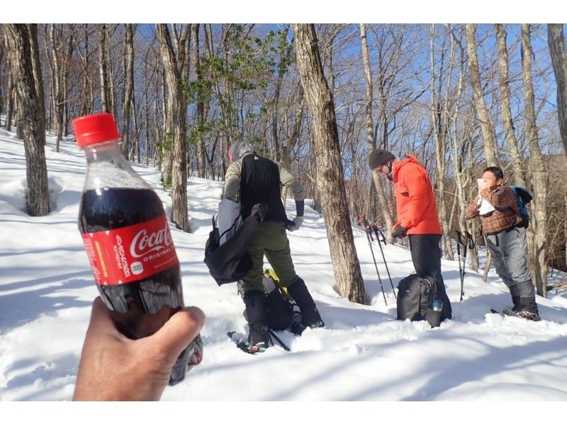 [Kyoto-Shiga Prefecture border] First attempt at climbing a snowy mountain: A hidden area in Kansai! Snow hike to the top of Ashiu and Mikuni Pass (stew lunch included!)の紹介画像