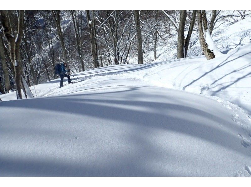 [Kyoto-Shiga Prefecture border] First attempt at climbing a snowy mountain: A hidden area in Kansai! Snow hike to the top of Ashiu and Mikuni Pass (stew lunch included!)の紹介画像