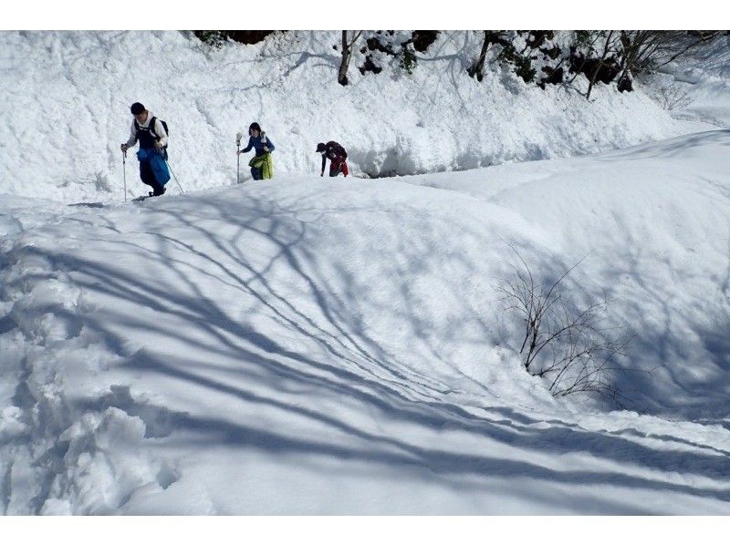 [Kyoto-Shiga Prefecture border] First attempt at climbing a snowy mountain: A hidden area in Kansai! Snow hike to the top of Ashiu and Mikuni Pass (stew lunch included!)の紹介画像