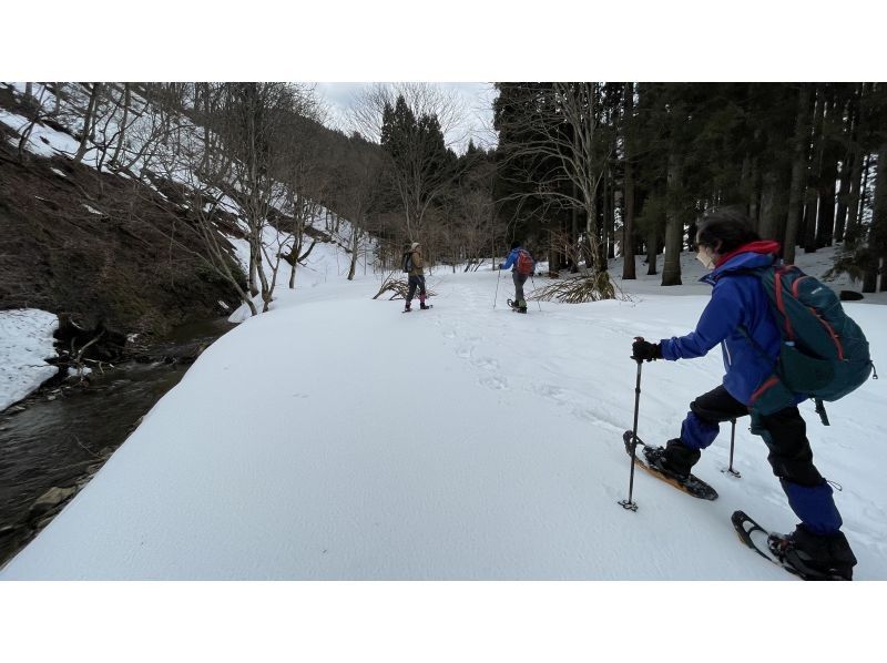 [Kyoto-Shiga Prefecture border] First attempt at climbing a snowy mountain: A hidden area in Kansai! Snow hike to the top of Ashiu and Mikuni Pass (stew lunch included!)の紹介画像