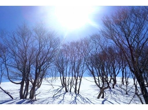 【滋賀湖西】雪山登頂初挑戦 蛇谷ヶ峰(比良山系)でスノーシュー(あったかシチューランチ付!) 【滋賀湖西】雪山登頂初挑戦 蛇谷ヶ峰(比良山系)でスノーシュー(あったかシチューランチ付!)