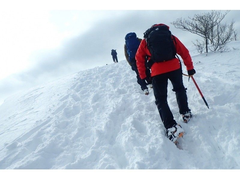 [Shiga Lake West] First attempt at climbing a snowy mountain Snowshoeing at Jayagatake (Hira Mountains) (warm stew lunch included!)の紹介画像