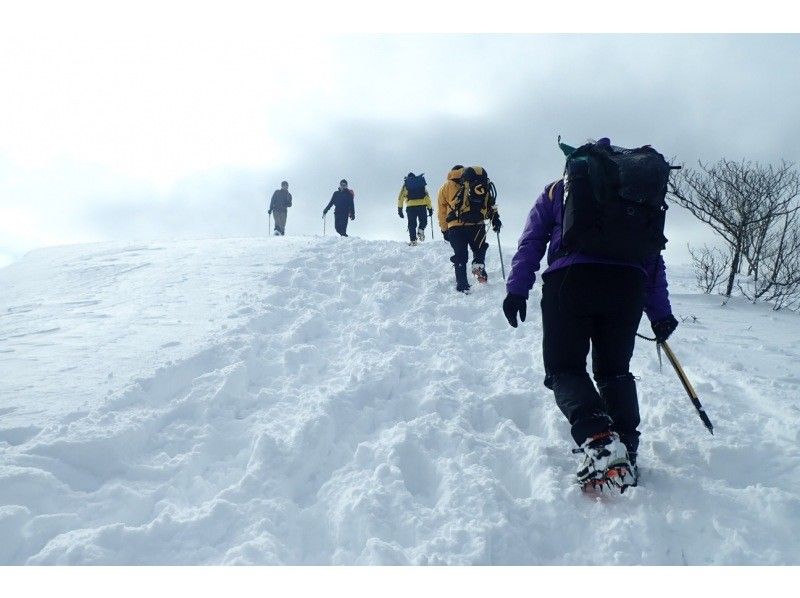 [Shiga Lake West] First attempt at climbing a snowy mountain Snowshoeing at Jayagatake (Hira Mountains) (warm stew lunch included!)の紹介画像