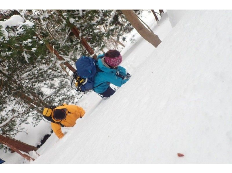 [Shiga Lake West] First attempt at climbing a snowy mountain Snowshoeing at Jayagatake (Hira Mountains) (warm stew lunch included!)の紹介画像