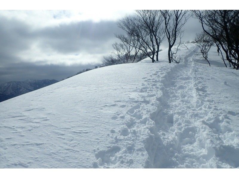 [Shiga Lake West] First attempt at climbing a snowy mountain Snowshoeing at Jayagatake (Hira Mountains) (warm stew lunch included!)の紹介画像