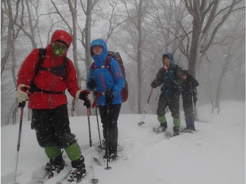 [เกียวโต] สำหรับผู้ใช้ที่มีประสบการณ์ Mt. Minako (Kyoto Kitayama) ยอดเขาที่สูงที่สุดในจังหวัดเกียวโต กิจกรรมเดินหิมะ (พร้อมอาหารกลางวันสตูว์อุ่น ๆ !)の紹介画像