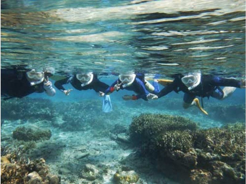 【沖繩北·國頭村】沖繩北部的Sekayak＆浮潛被指定為Yanbaru國家公園！の紹介画像