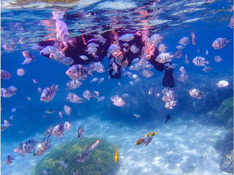 [Okinawa, Onna Village] SUP & Snorkeling "Adventure to a deserted island!" Beginners are safe (Over 1,500 people guided last year / Free photos and video data)の紹介画像