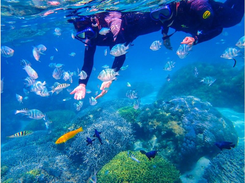 [Okinawa, Onna Village] SUP & Snorkeling "Adventure to a deserted island!" Beginners are safe (Over 1,500 people guided last year / Free photos and video data)の紹介画像