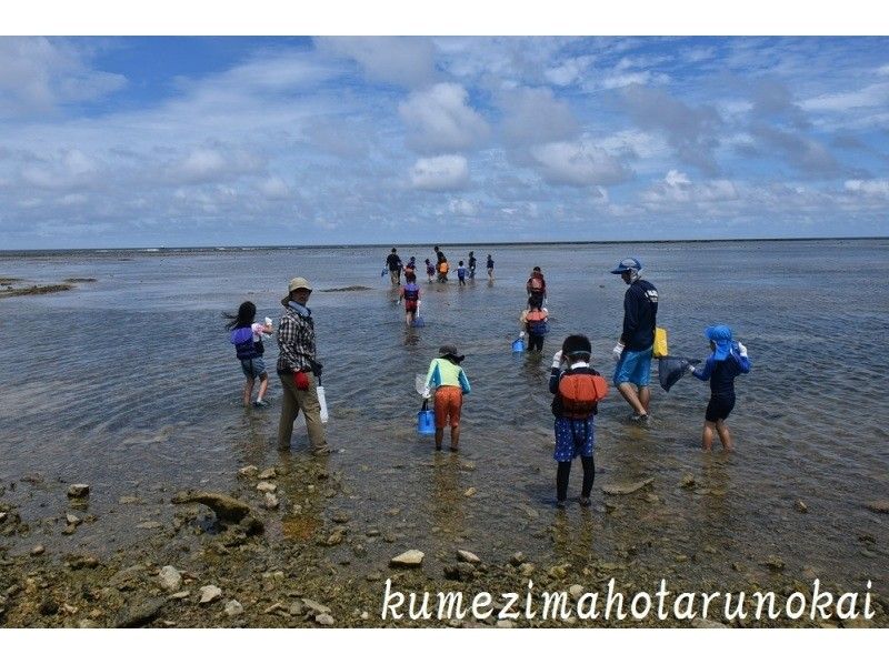 【沖縄・久米島】海の生きものたちに出会う「海辺の散策と観察」環境学習と保全再生活動に携わる専門ガイドによる案内！の紹介画像