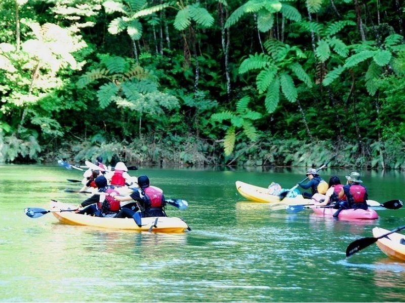 [Okinawa-Kunigami Village] ★ May-Oct. ★ Cruise the Yanbu Nature! Subtropical jungle canoe and river play ★の紹介画像