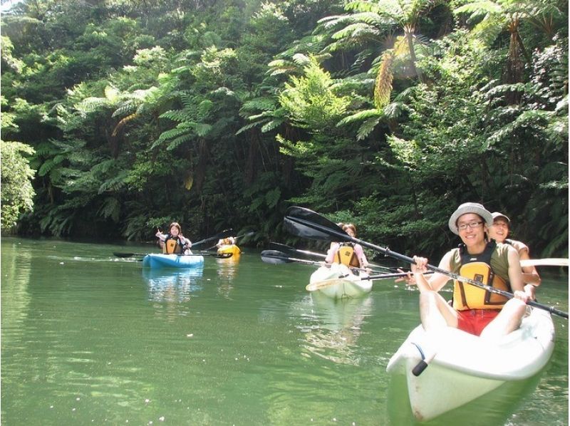[Okinawa ・ Kunigami village] ★ Nov.~ April only ★ Cruise the wilderness of nature (Winter Canoe Tour)の紹介画像