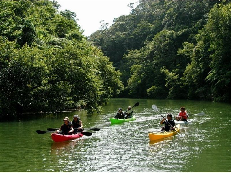 [Okinawa ・ Kunigami village] ★ Nov.~ April only ★ Cruise the wilderness of nature (Winter Canoe Tour)の紹介画像