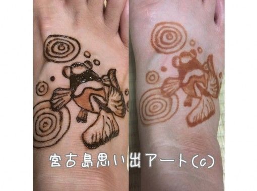 Earth Henna Temporary Tattoo Kits - Tracy Kiss