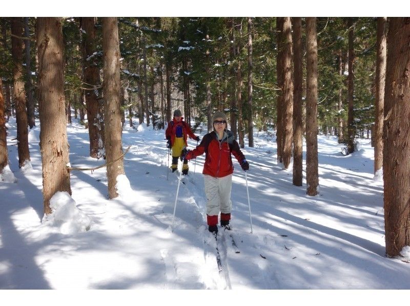 【長野・黒姫】歩くスキーハイキング（クロスカントリースキーツアー）1日ガイドの紹介画像