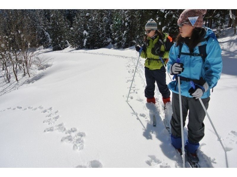 步行滑雪遠足（遠距離滑雪遊覽）【一天導遊】の紹介画像