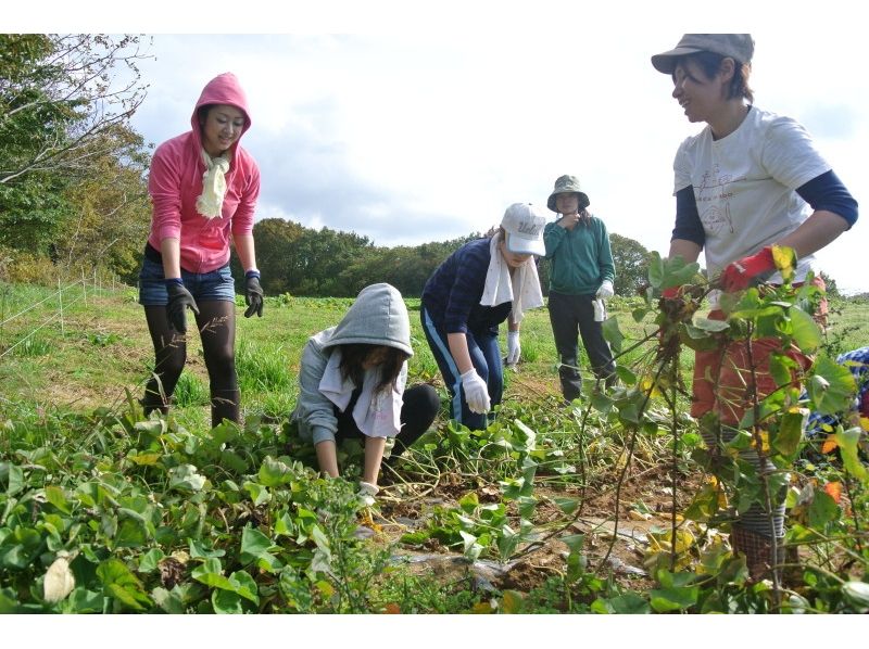 【Fukushima / Ninomatsu City】 Countryside enjoyment! Farm inns & vegetables harvest experienceの紹介画像