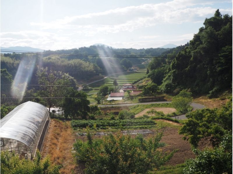 【 후쿠시마・니혼마츠 시] 자연과 연결되는 농업체험 ! (모내기 편)の紹介画像