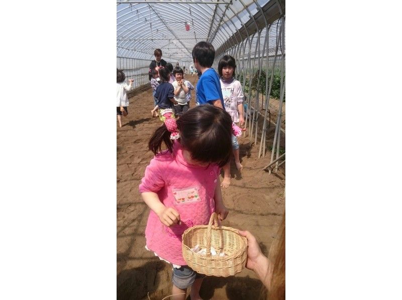 [Chiba・Noda City] Enjoy harvesting fresh vegetables & making lunch together! Let's taste the seasonal veggies and the best rice cooked by a traditional hagama-potの紹介画像