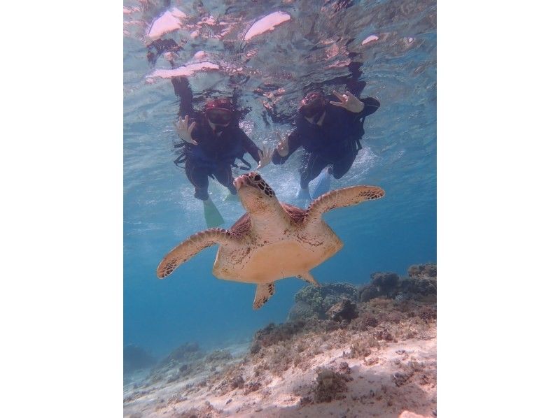 If you get lost in Miyakojima, this is it! Spend a special time with sea turtles ♡ Close encounter rate of 100% snorkeling & kayaking to the mysterious blue cave! Cave exploration with free photos and videosの紹介画像