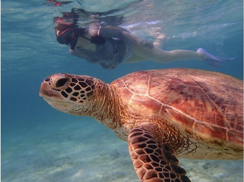 If you get lost in Miyakojima, this is it! Spend a special time with sea turtles ♡ Close encounter rate of 100% snorkeling & kayaking to the mysterious blue cave! Cave exploration with free photos and videosの紹介画像