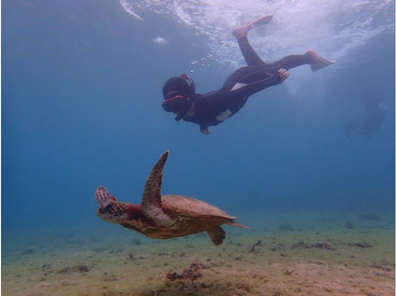 If you get lost in Miyakojima, this is it! Spend a special time with sea turtles ♡ Close encounter rate of 100% snorkeling & kayaking to the mysterious blue cave! Cave exploration with free photos and videosの紹介画像