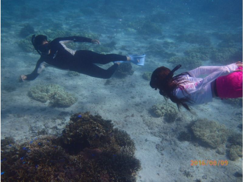If you get lost in Miyakojima, this is it! Spend a special time with sea turtles ♡ Close encounter rate of 100% snorkeling & kayaking to the mysterious blue cave! Cave exploration with free photos and videosの紹介画像