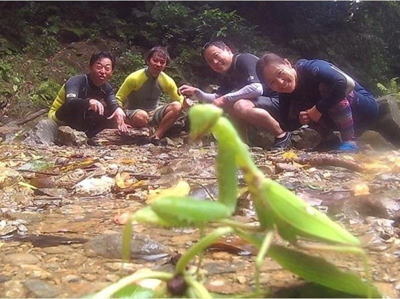 【沖縄北部・オクマ】やんばるおもしろリバートレッキングの紹介画像