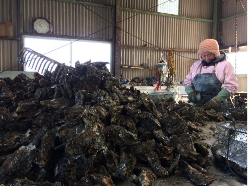 [Winter only! ] Excellent access! All-you-can-eat Uramura oysters from Ise / Futamiura barbecue area! !!の紹介画像