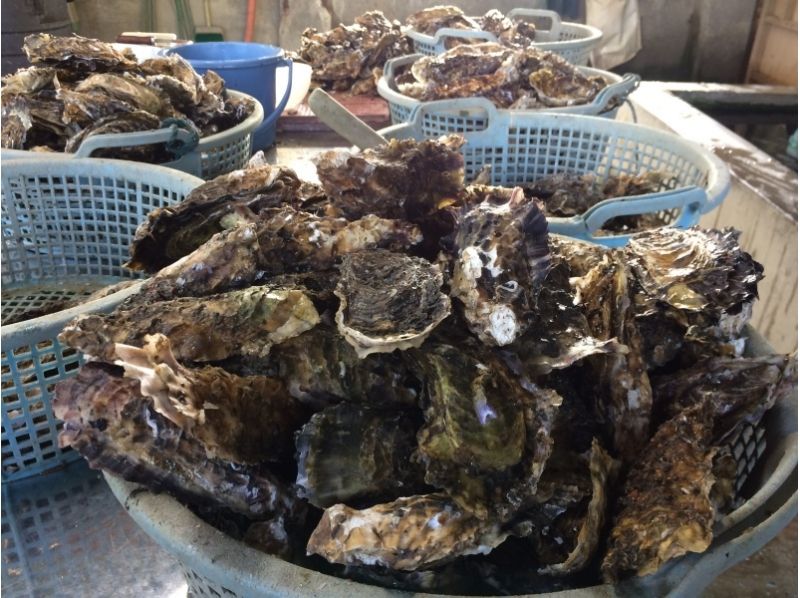 【Winter only! Coffee roasting experience】 Excellent access! All you can eat oyster oyster from Ise · Futamiura barbecue center!の紹介画像