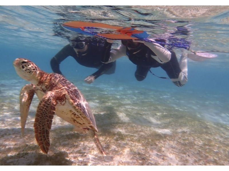 [冲绳/宫古岛]想要浮潜和乘坐交通工具的人♡前滨海滩的4种尖叫海洋+海龟浮潜の紹介画像