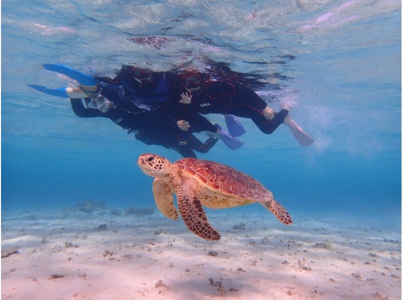 [Okinawa/Miyakojima] Spring sale underway! People who want to snorkel and ride vehicles ♡ 4 types of screaming marine + sea turtle snorkeling at Maehama Beachの紹介画像