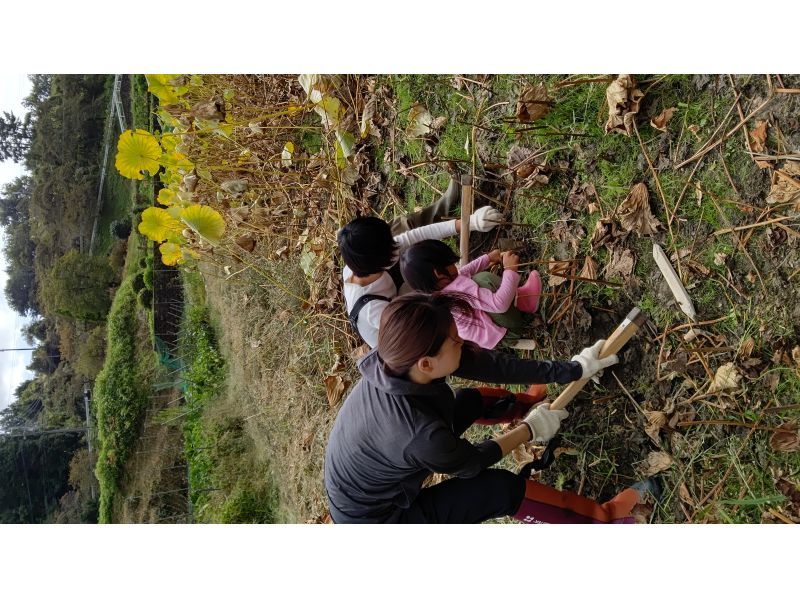 【奈良・山辺郡】宝探しのように楽しむ★今日はれんこんホリデ～！の紹介画像