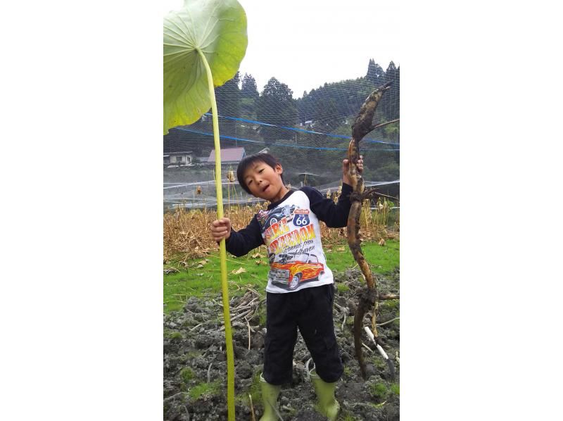 【奈良・山辺郡】宝探しのように楽しむ★今日はれんこんホリデ～！の紹介画像