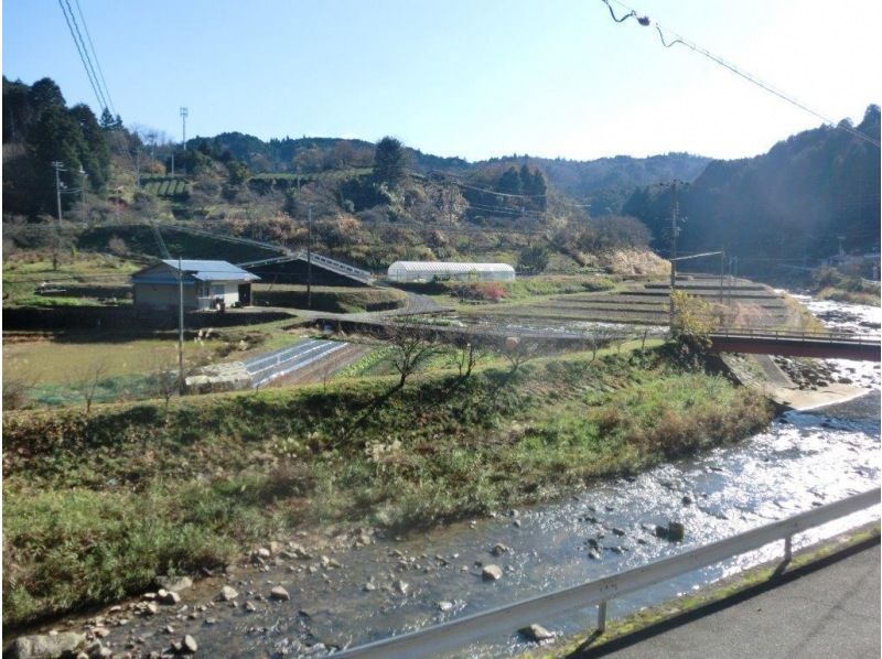 【奈良・山辺郡】宝探しのように楽しむ★今日はれんこんホリデ～！の紹介画像