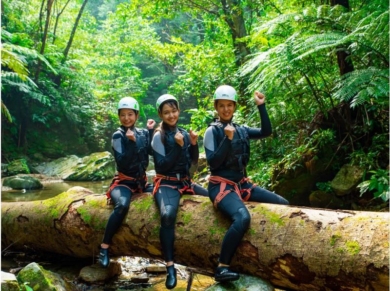 [沖繩 Yanbaru] Unexploded Yanbaru 淋浴攀登 & 溪降 Zip slide & natural water slider (with photo and video shooting service)の紹介画像