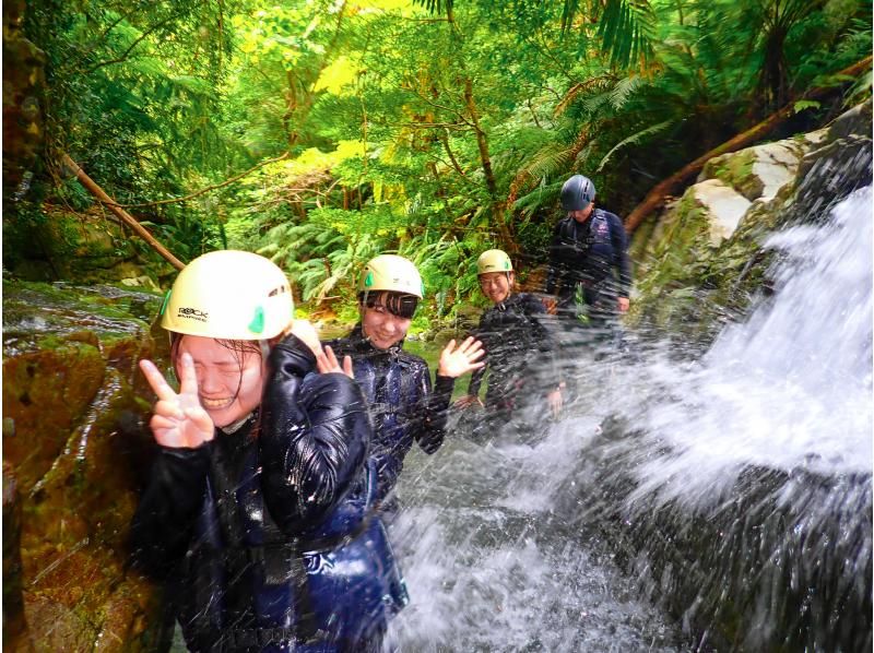 [沖繩 Yanbaru] Unexploded Yanbaru 淋浴攀登 & 溪降 Zip slide & natural water slider (with photo and video shooting service)の紹介画像