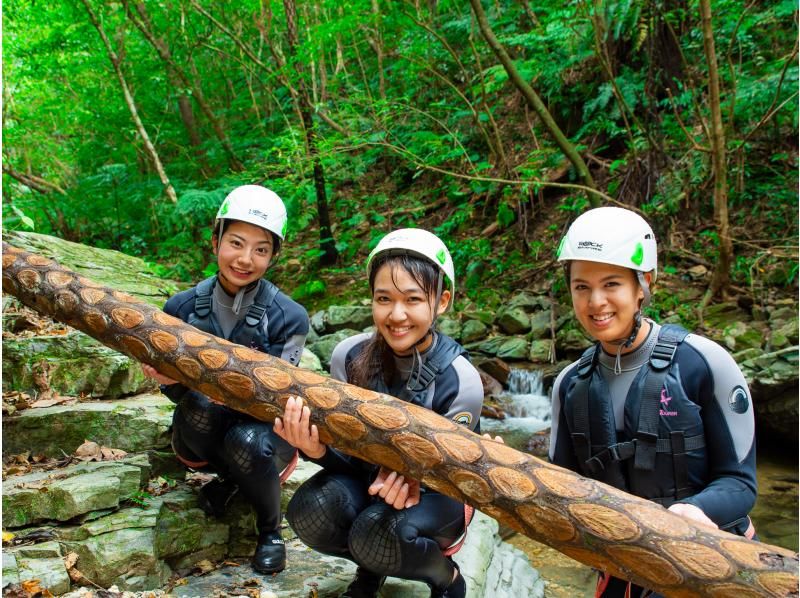 [沖繩 Yanbaru] Unexploded Yanbaru 淋浴攀登 & 溪降 Zip slide & natural water slider (with photo and video shooting service)の紹介画像