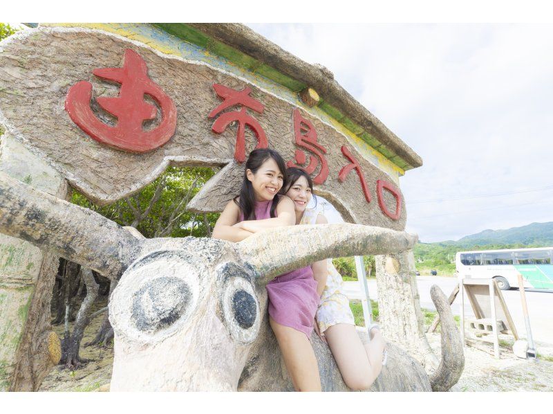 【沖縄】西表島・由布島・ご昼食つき！S-yコースの紹介画像