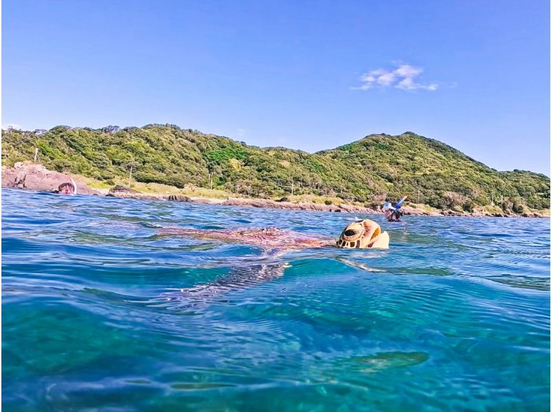 【屋久島 シュノーケリング】シュノーケリングでウミガメを探しに行こう（半日・動画撮影付き）の紹介画像