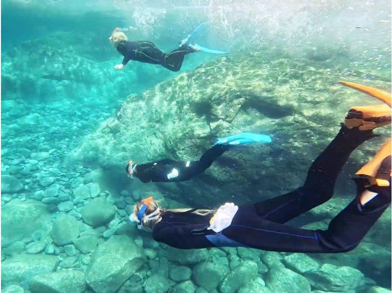 【屋久島 シュノーケリング】シュノーケリングでウミガメを探しに行こう（半日・動画撮影付き）の紹介画像