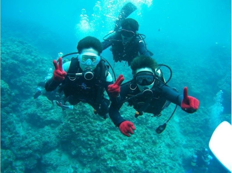 Simple Marine Serviceの割引プラン